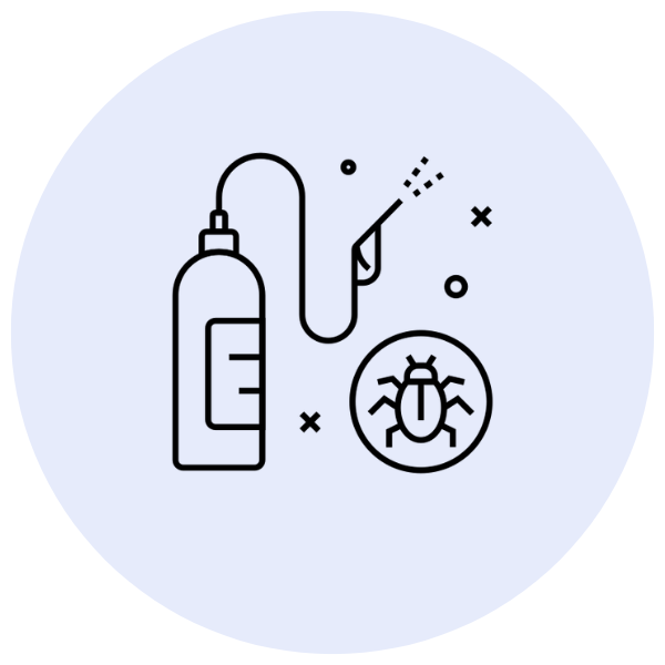 Lice Treatment