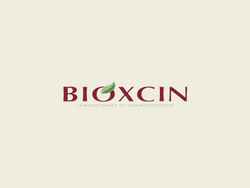Online Pharmacy Qatar Truth Care 